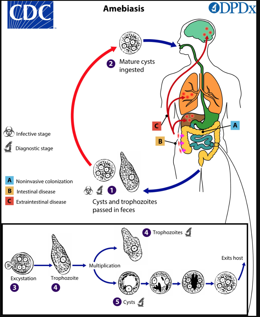 Screenshot 2023-08-09 at 1.19.52 PM.png