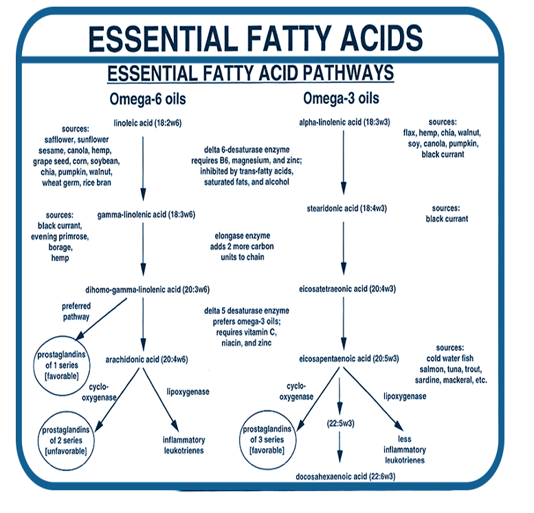 Screenshot 2023-11-13 at 2.59.00 PM.png