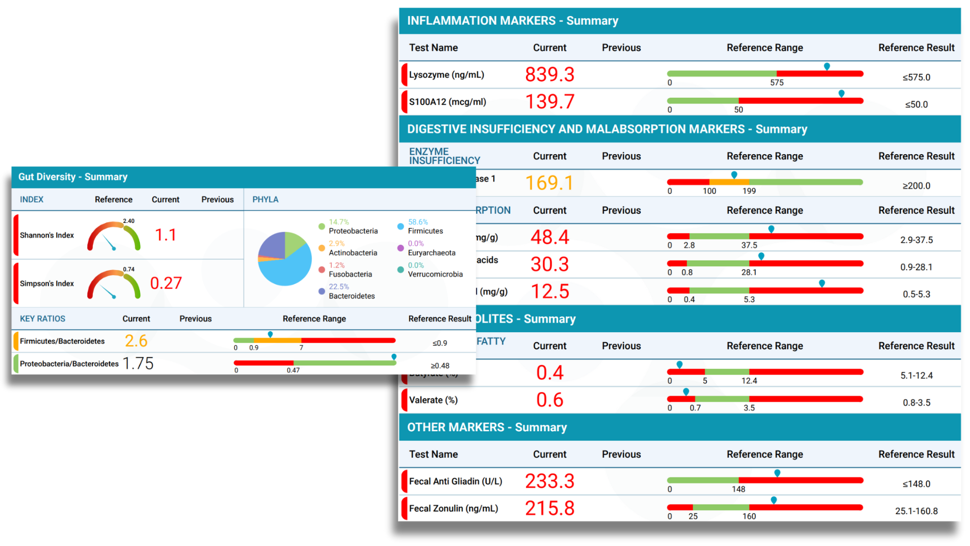 Summary Report  (1).png
