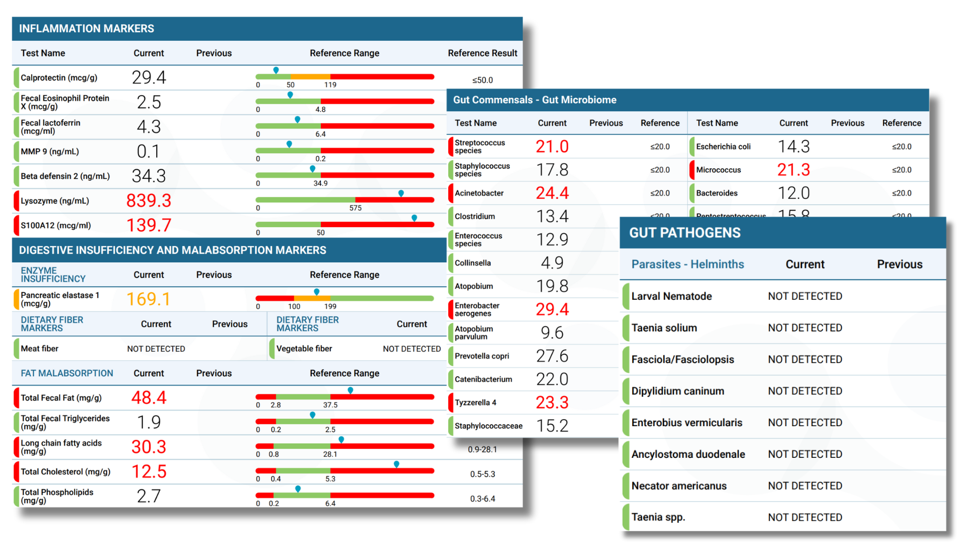 Custom Format Reports.png